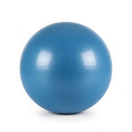 Anti-Burst Exercise Ball 65cm in blue